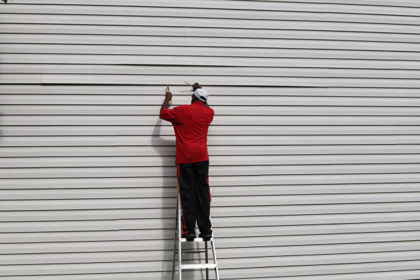 Best Steel Siding Installation  in Lake Linden, MI